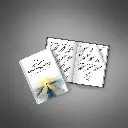 The-Mindful-Manifestation-Guide---Ebook4.webp